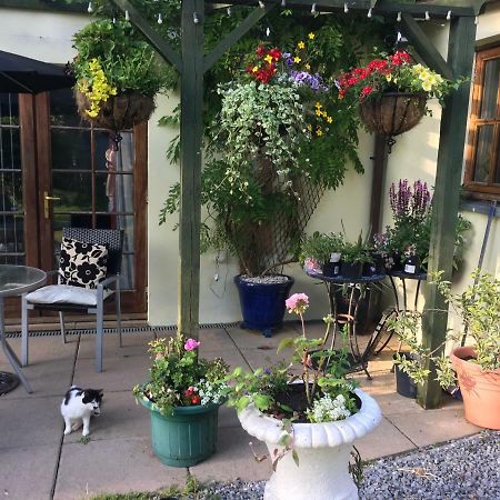 Ferienwohnung The Olive Branch At The Poplars Kilgetty Exterior foto