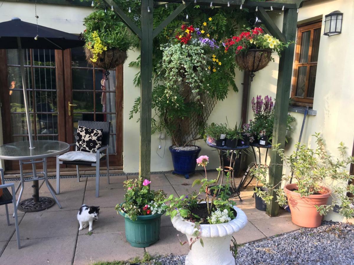 Ferienwohnung The Olive Branch At The Poplars Kilgetty Exterior foto